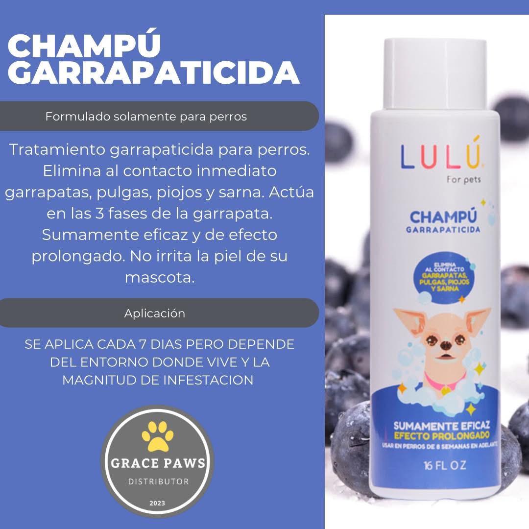 Champú
